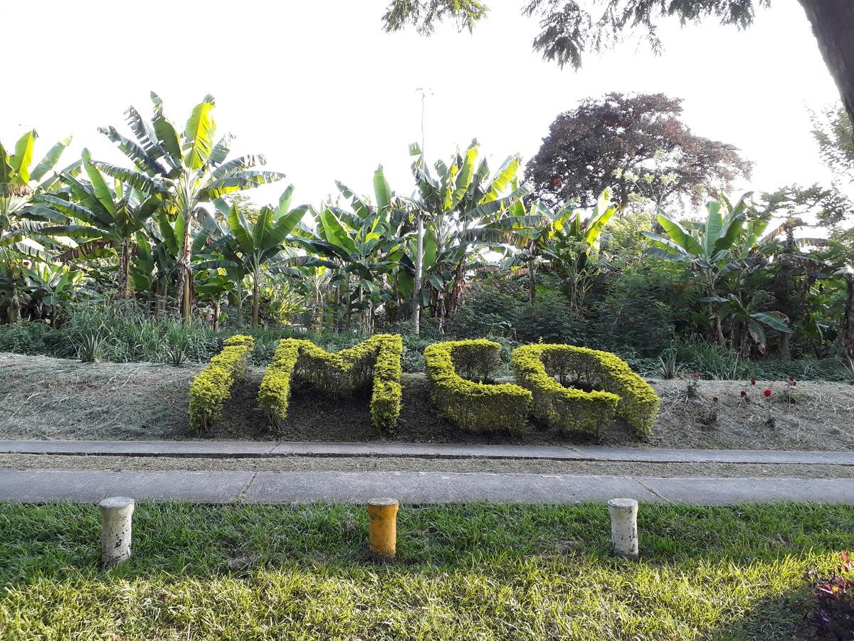Imca